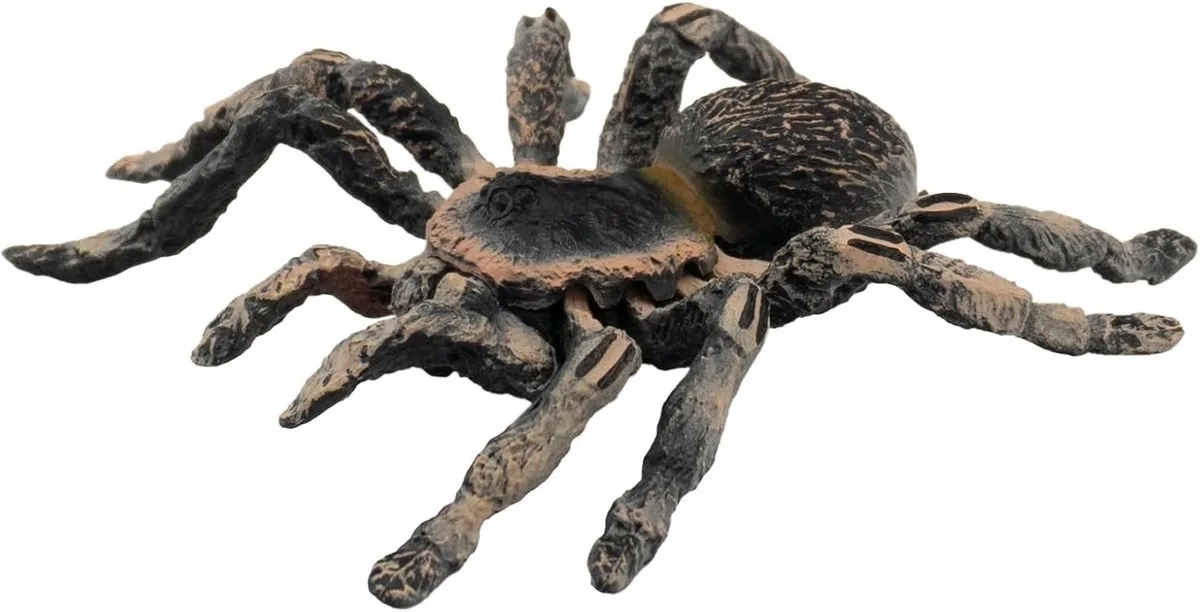 Bullyland 68457 – Speelfiguur Witte Knie Tarantula – ca. 8,5cm – levensecht en detailrijk vormgegeven – ideaal als educatief speelfiguur, decoratie of klein cadeautje voor kinderen vanaf 3 jaar från Bullyland i Spin Tarantula – produktbild