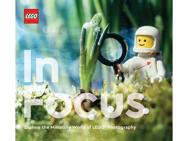 LEGO In Focus