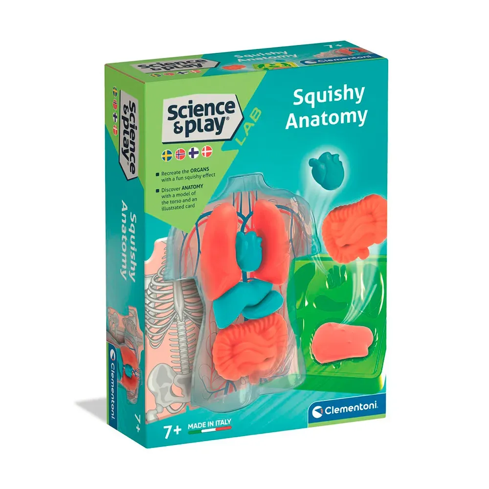 Mini Squishy Organs Pädagogisches Spielzeug von Clementoni – Produktfoto