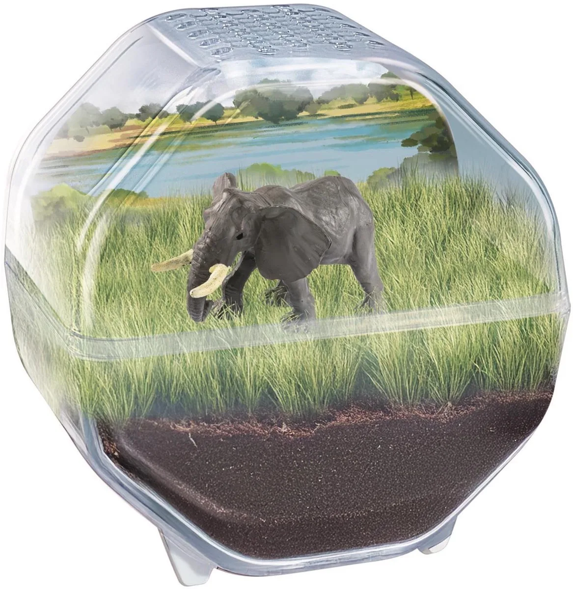 Mini Terrarium Olifant - Dieren Speelgoed met Echte Planten - Zaden en Plantjes Kweken en Knutselen - Wetenschap en Spel voor Kinderen von Clementoni in Mehrfarbig – Produktfoto
