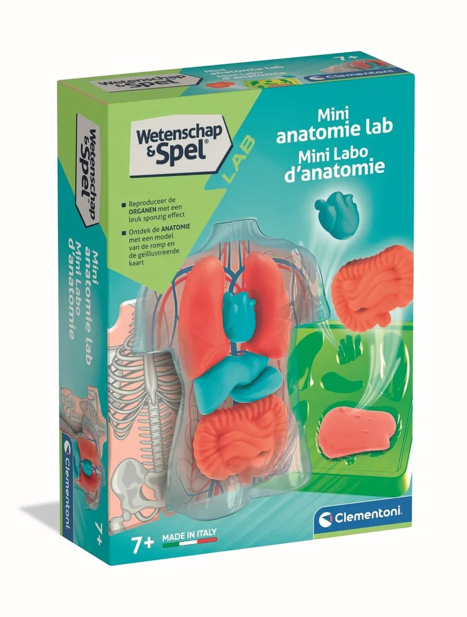 Squishy Anatomie - Educatief Speelgoed voor Kinderen - STEM Speelgoed - Vanaf 7 jaar by Clementoni in Multicolour – product photo