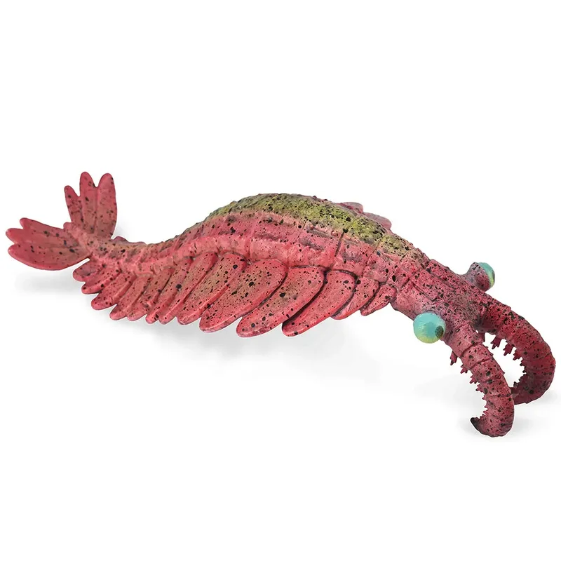 Anomalocaris by Collecta – product photo