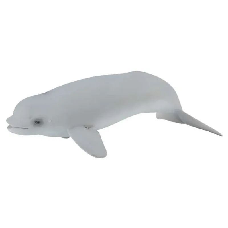 Beluga Fokfiguur de Collecta – photo du produit