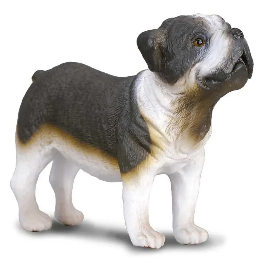 Bulldog-figur von Collecta – Produktfoto