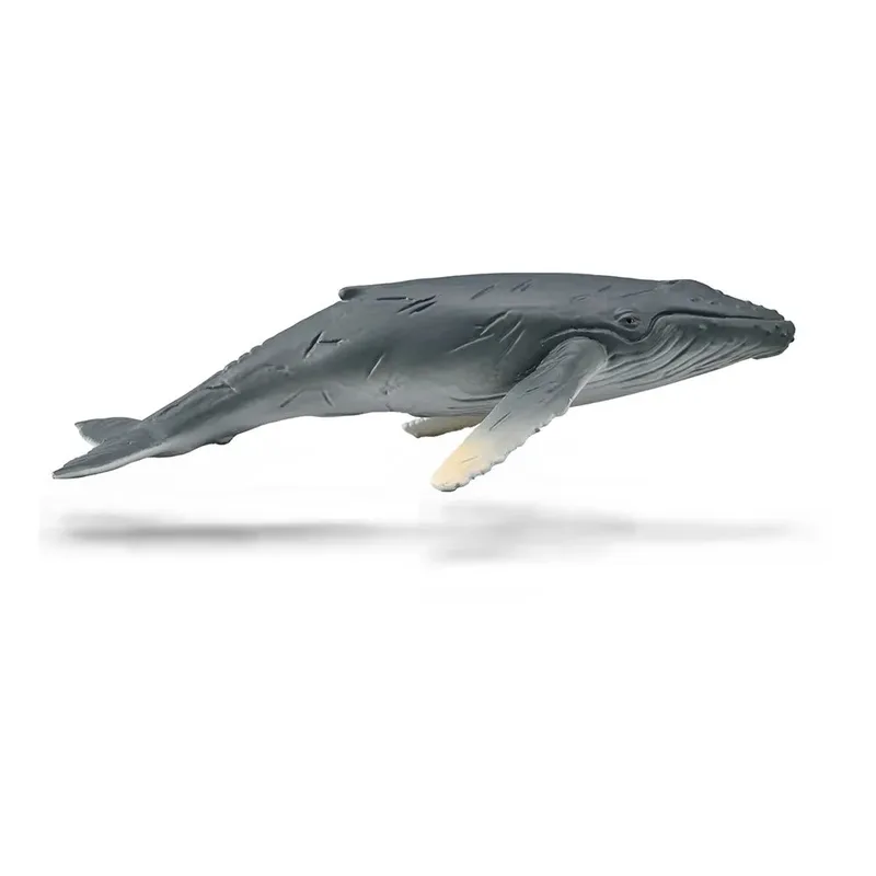 Bultrug van Collecta – productfoto