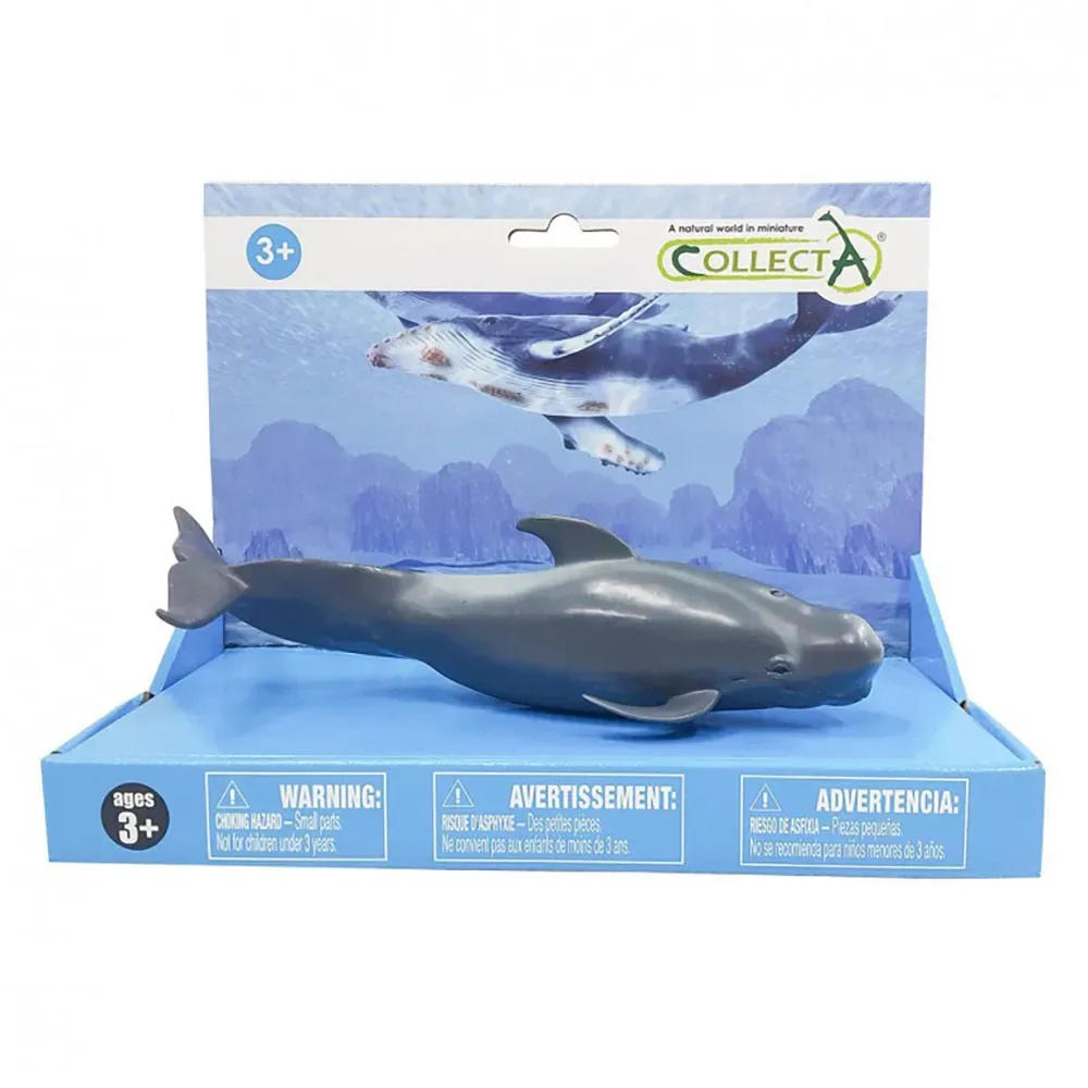 Figurine Calderon Whale Pilot L Sur Plateforme de Collecta – photo du produit