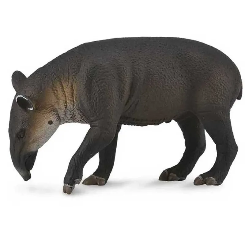 Centraal-amerikaanse Tapirfiguur van Collecta – productfoto