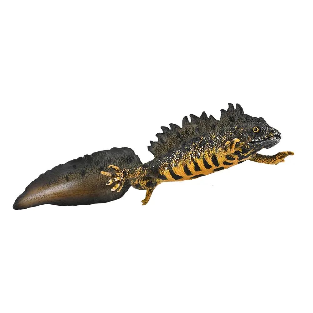Crested Newt Figur von Collecta – Produktfoto