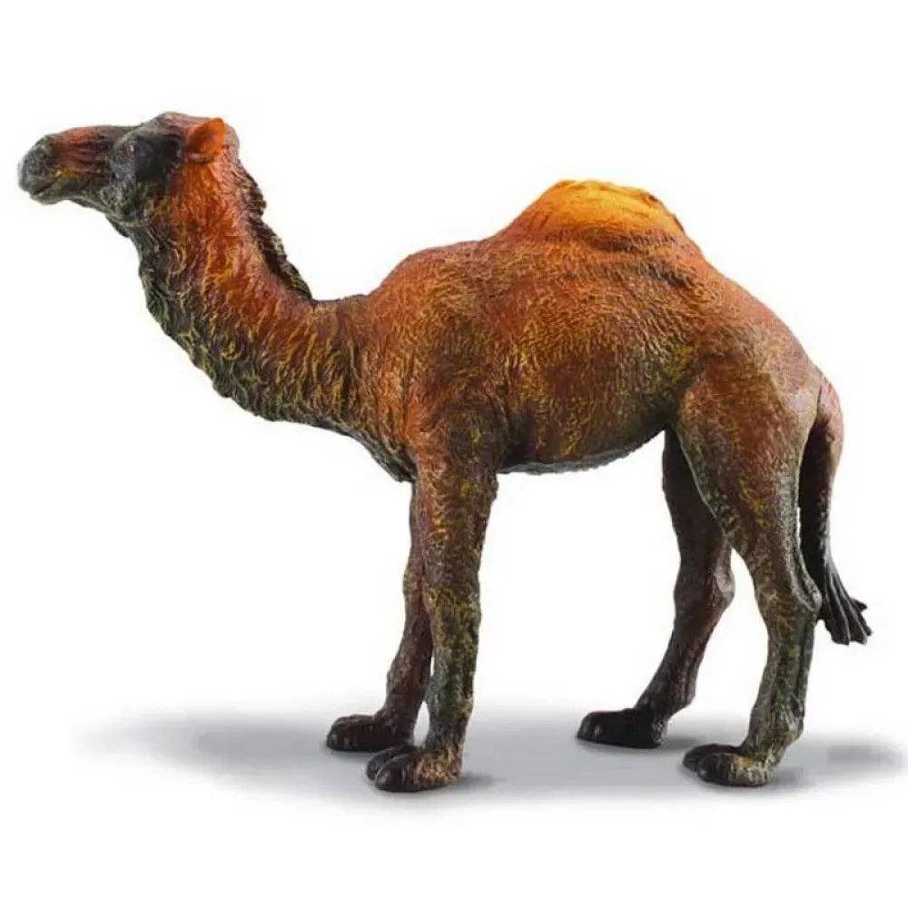 Dromedarfigur von Collecta – Produktfoto