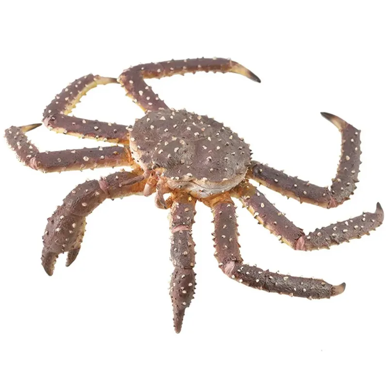 Echte Krab Xl Figuur by Collecta – product photo