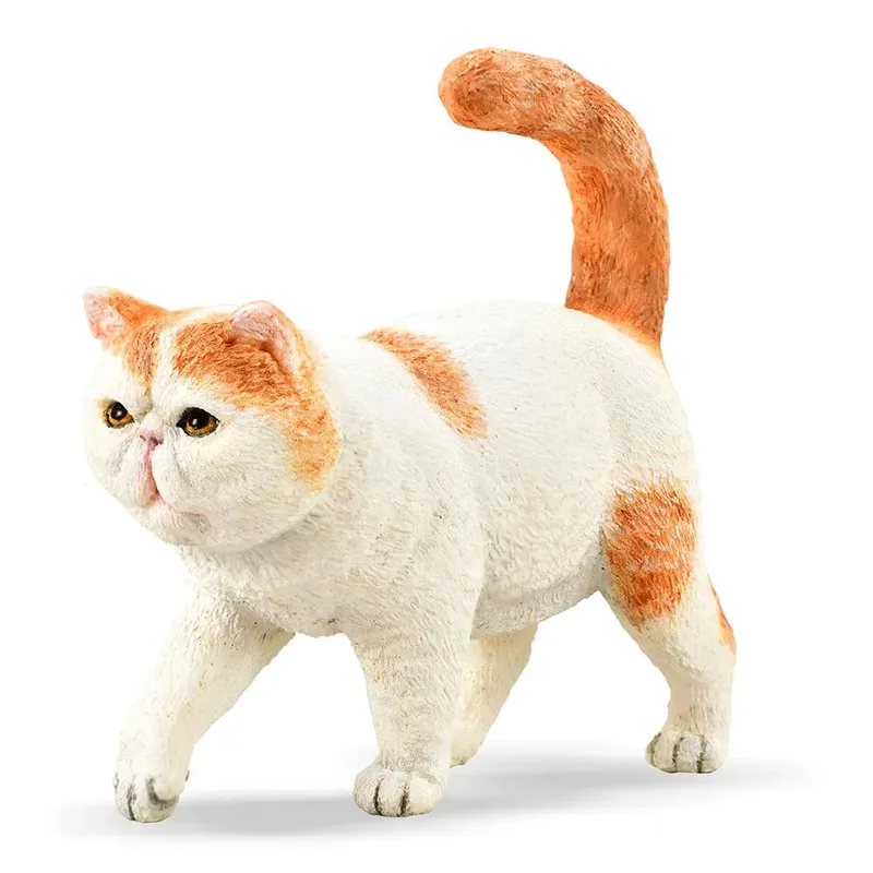 Exotische Korthaar Kat S Figuur från Collecta – produktbild