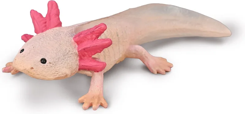 Figurine - Axolotl - (M) - Prehistorie - Handgeschilderd - Miniatuur by Collecta in Pink – product photo