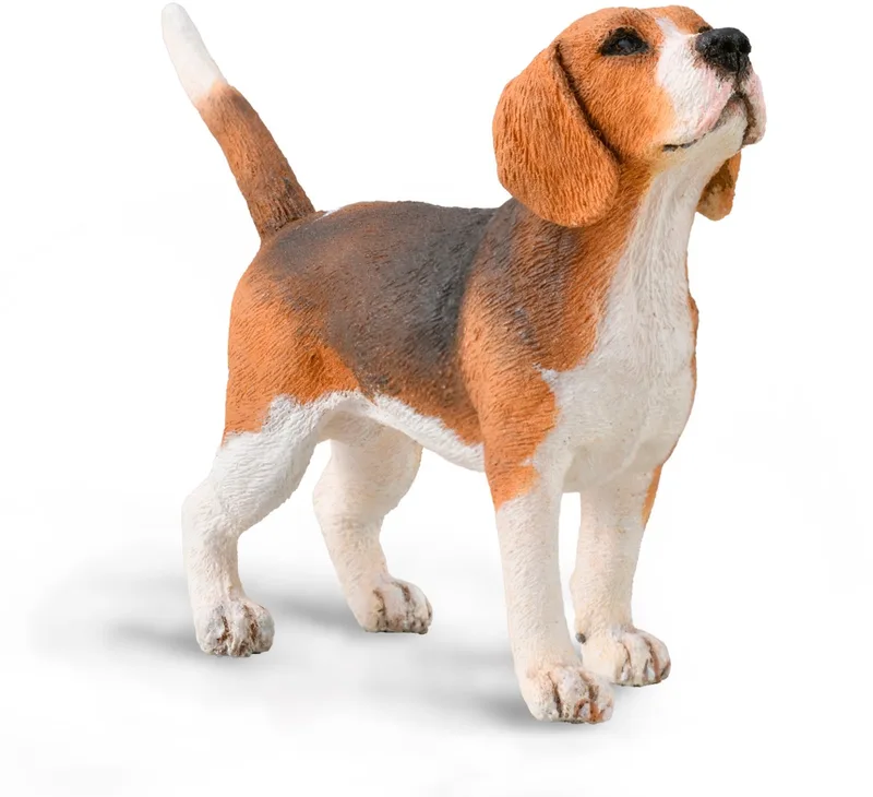 Figurine - Beagle - (M) - Honden - Handgeschilderd - Miniatuur de Collecta en Marron – photo du produit