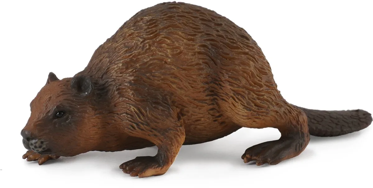 Figurine - Bever - (M) - Bosdieren - Handgeschilderd - Miniatuur by Collecta in Brown – product photo