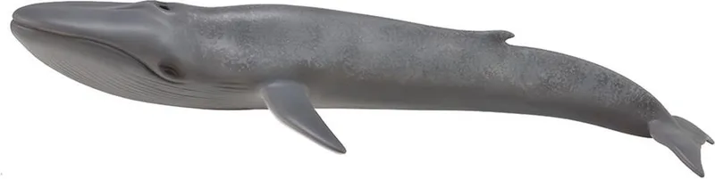 Figurine - Blauwe Vinvis - (Xl) - Zeedieren - Handgeschilderd - Miniatuur by Collecta in Blue – product photo