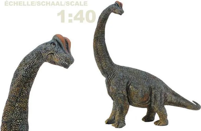 Figurine - Brachiosaurus - 1:40 - Prehistorie - Handgeschilderd - Dinosaurus - Miniatuur de Collecta en Vert – photo du produit