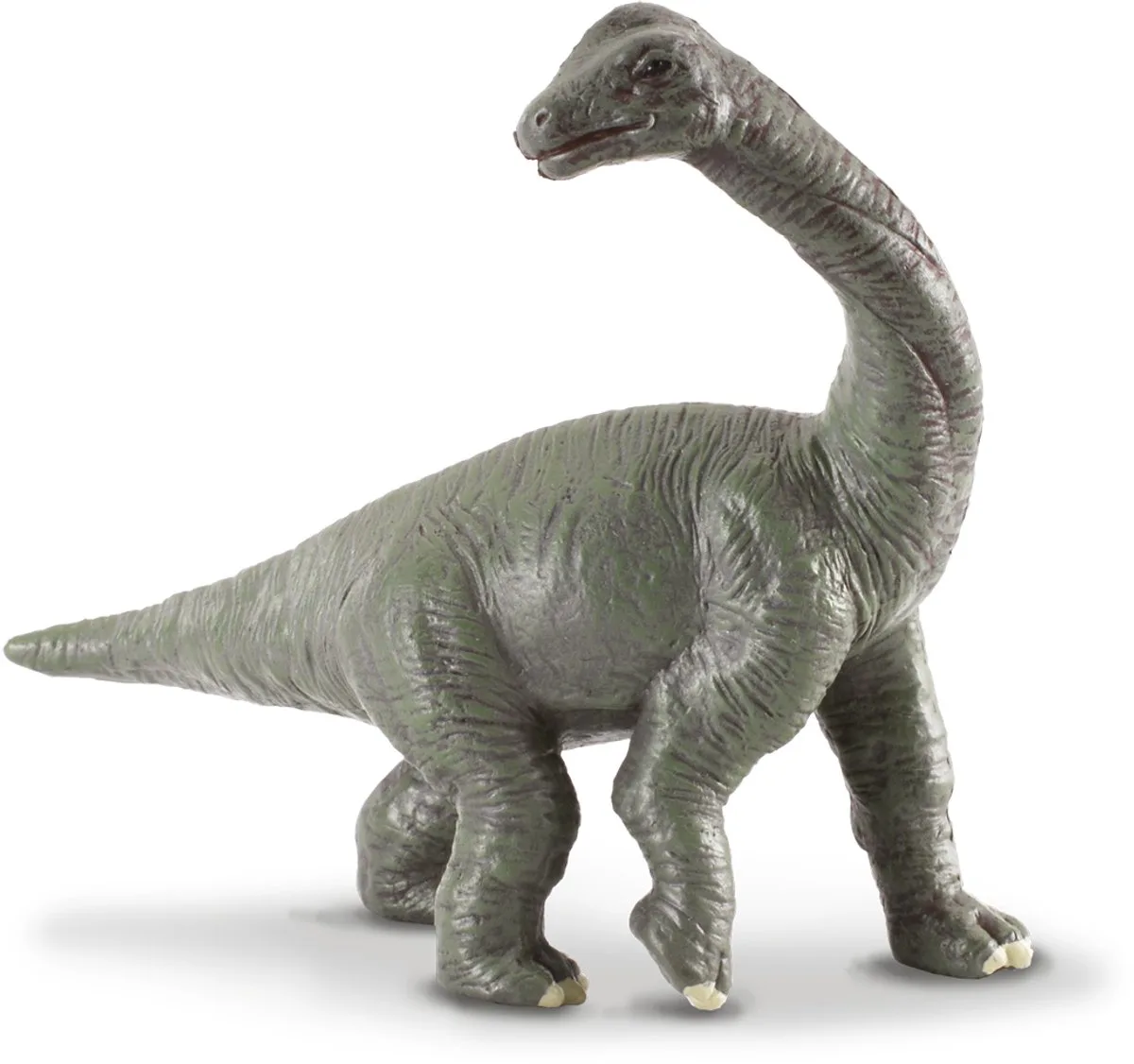 Figurine - Brachiosaurus Baby - (S) - Prehistorie - Handgeschilderd - Dinosaurus - Miniatuur van Collecta in Groen – productfoto