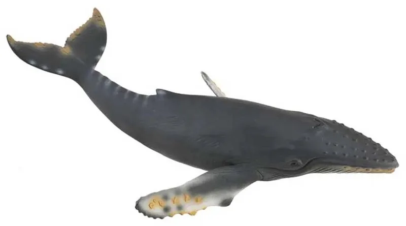 Figurine - Bultrug Walvis - (Xl) - Zeedieren - Handgeschilderd - Miniatuur från Collecta i Grå – produktbild