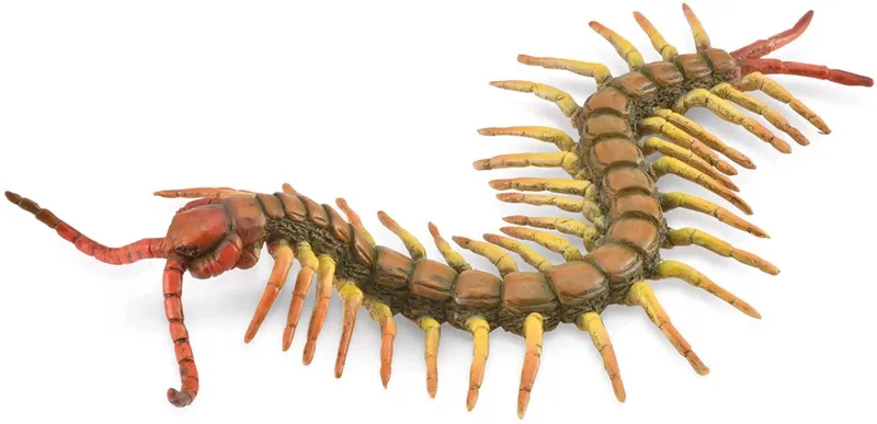 Figurine - Duizendpoot - (L) - Insecten - Handgeschilderd - Miniatuur von Collecta in Braun – Produktfoto