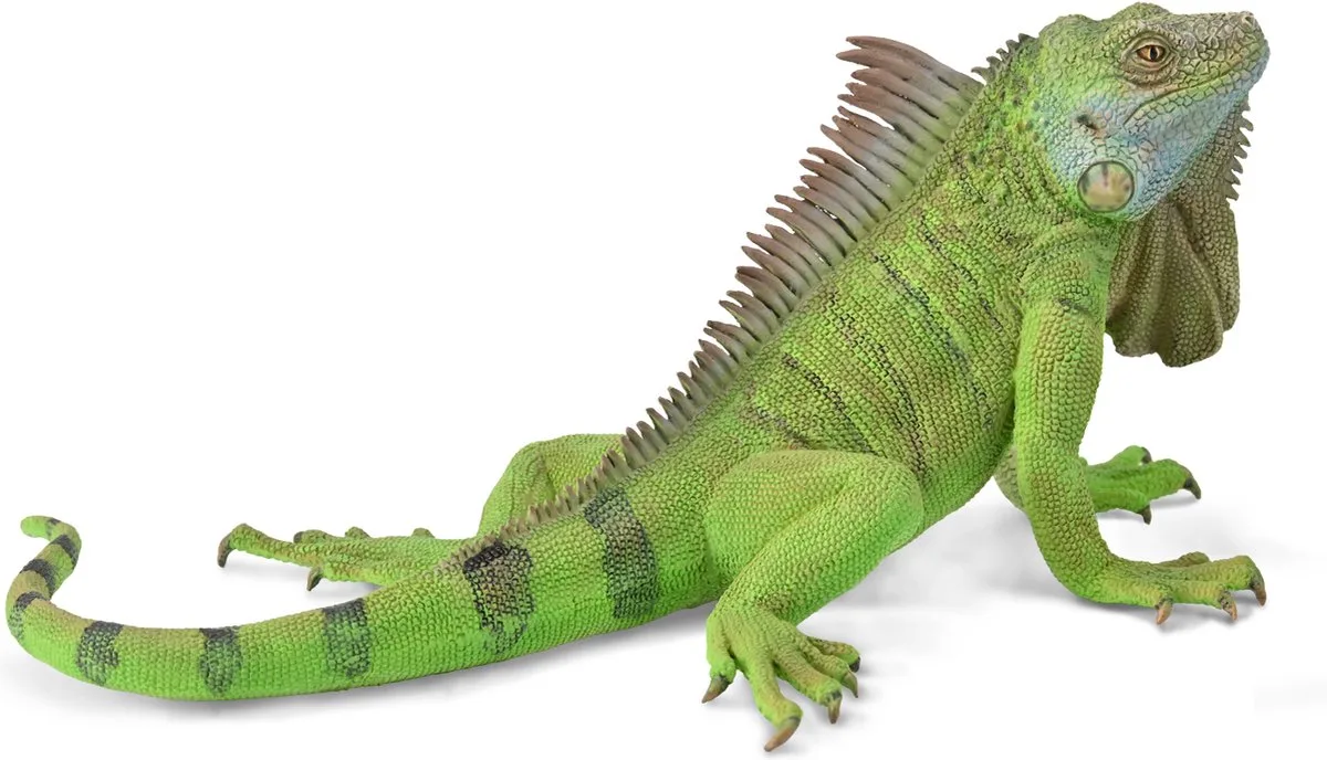 Figurine - Groene Leguaan - (Xl) - Wilde Dieren - Handgeschilderd - Miniatuur by Collecta in Green – product photo