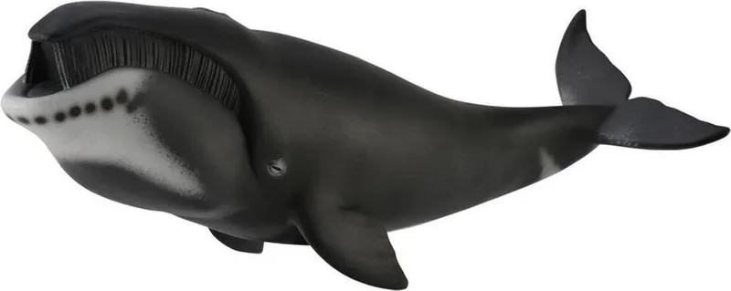 Figurine - Groenlandse Walvis - (Xl) - Zeedieren - Handgeschilderd - Miniatuur de Collecta en Gris – photo du produit