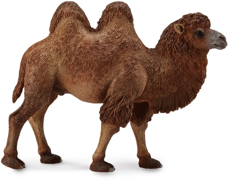 Figurine - Kameel - (L) - Wilde Dieren - Handgeschilderd - Miniatuur by Collecta in Brown – product photo