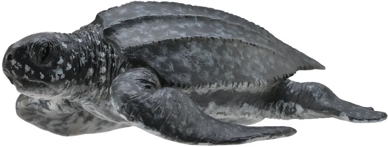 Figurine - Lederschildpad - (M) - Zeedieren - Handgeschilderd - Miniatuur von Collecta in Grün – Produktfoto