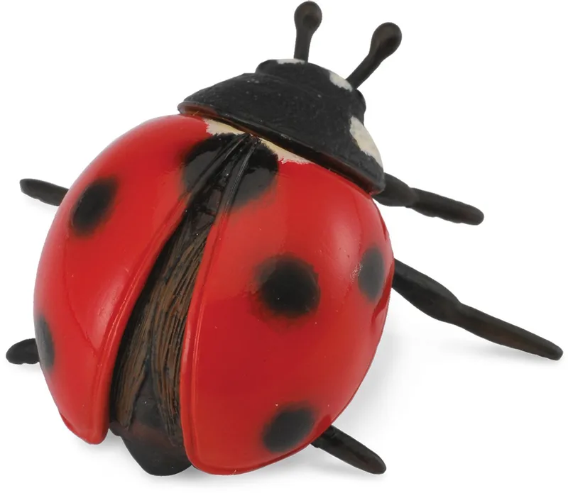 Figurine - Lieveheersbeestje - (M) - Insecten - Handgeschilderd - Miniatuur van Collecta in Zwart – productfoto