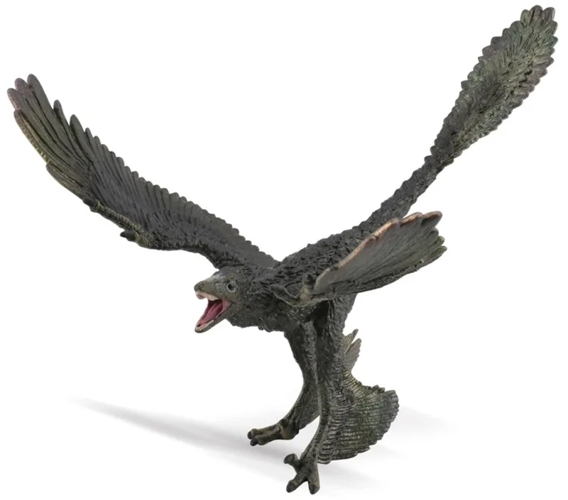 Figurine - Microraptor - 1:40 - Prehistorie - Handgeschilderd - Dinosaurus - Miniatuur by Collecta in Black – product photo