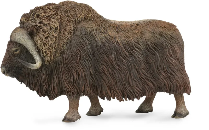 Figurine - Muskusos - (L) - Wilde Dieren - Handgeschilderd - Miniatuur by Collecta in Brown – product photo