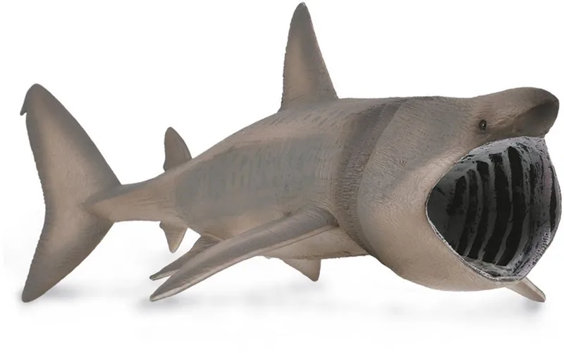 Figurine - Reuzenhaai - (Xl) - Zeedieren - Handgeschilderd - Miniatuur by Collecta in Grey – product photo