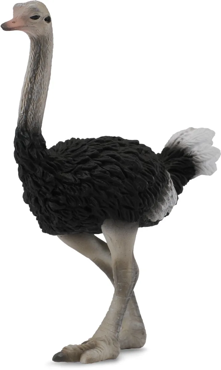Figurine - Struisvogel - (L) - Wilde Dieren - Handgeschilderd - Miniatuur de Collecta en Multicolore – photo du produit