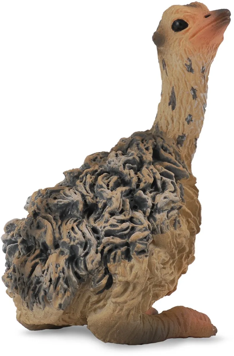 Figurine - Struisvogelkuiken Zittend - (S) van Collecta in Meerkleurig – productfoto