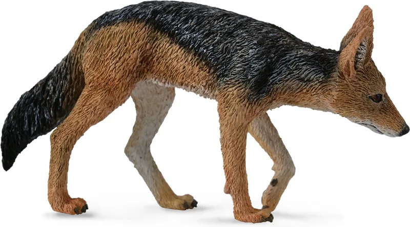 Figurine - Zadeljakhals - (M) - Wilde Dieren - Handgeschilderd - Miniatuur by Collecta in Black – product photo
