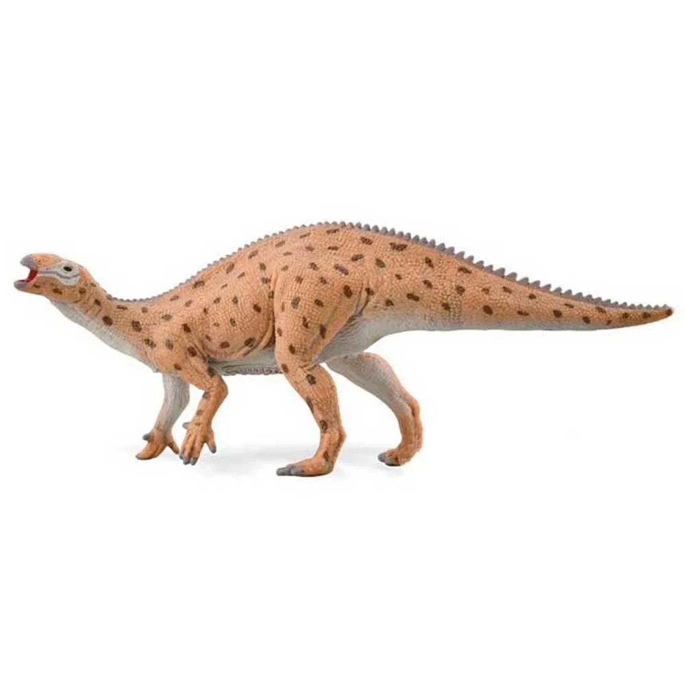 Fukuisaurus-figuur 1:40 M by Collecta – product photo