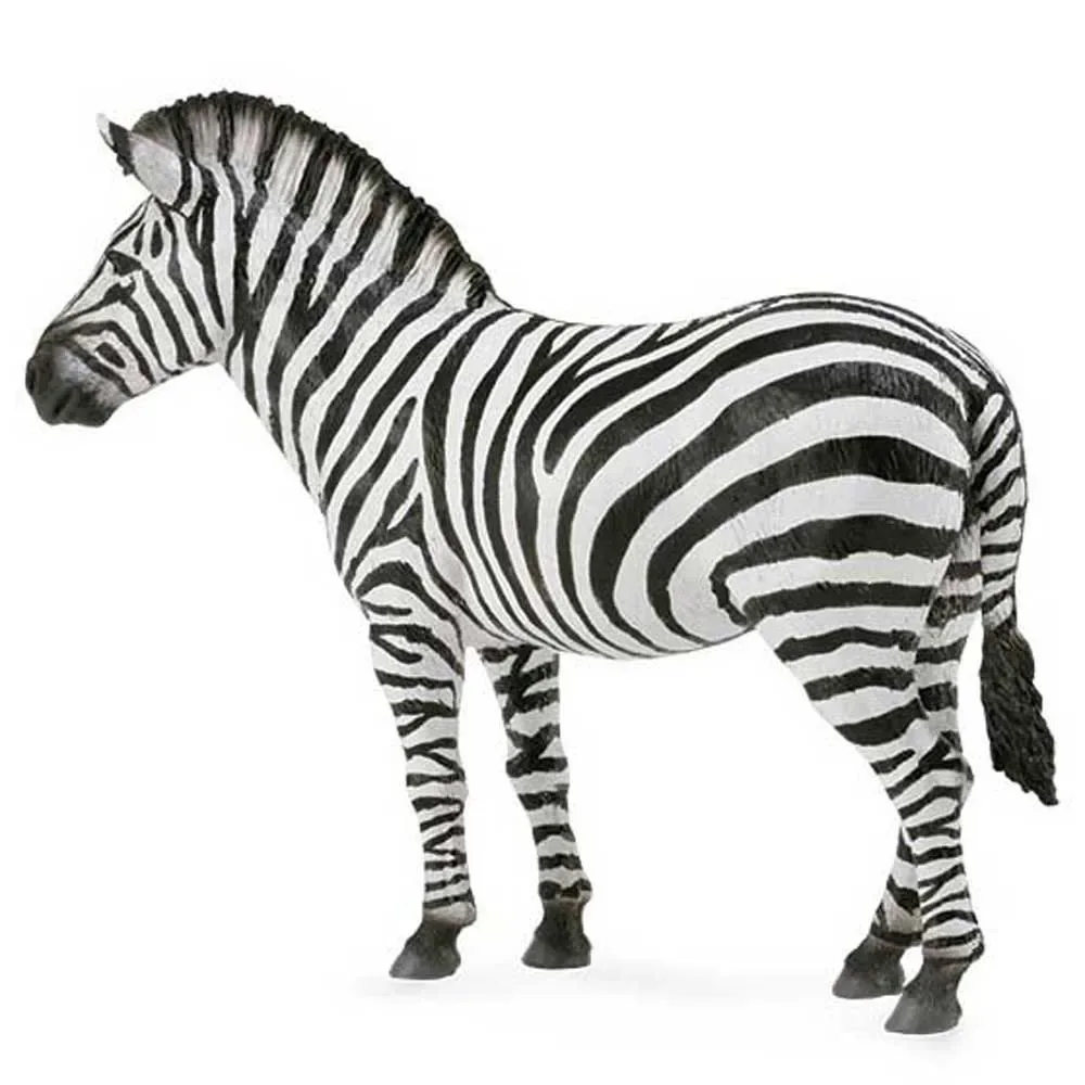 Gewone Zebra L-figuur by Collecta – product photo