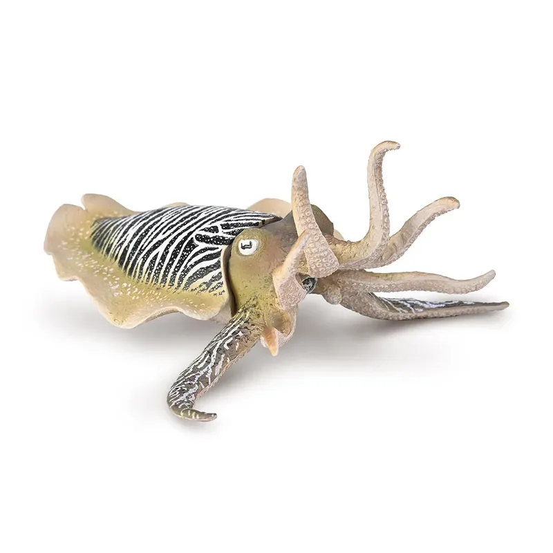 Gewone Zeekat by Collecta – product photo