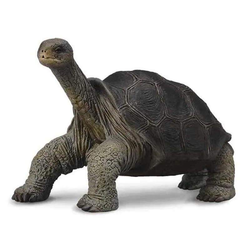 Gigantisch Beschilderd Schildpadfiguur von Collecta – Produktfoto