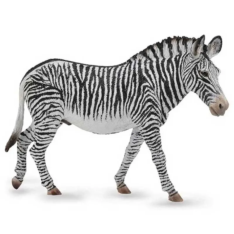 Grevyzebrafiguur Xl by Collecta – product photo