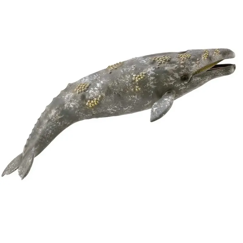 Grijze Walvis Xl Figuur by Collecta – product photo
