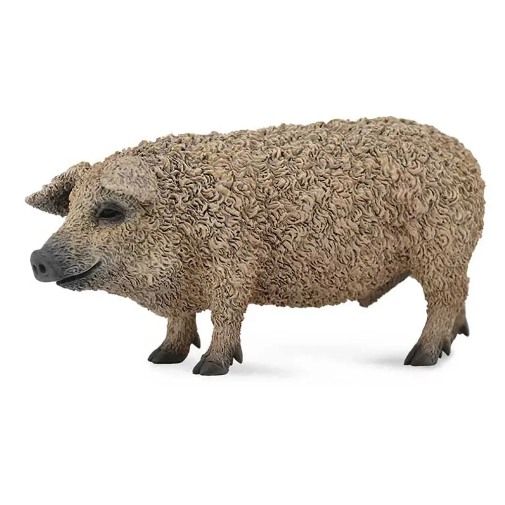 Mangalitza-schwein Figur von Collecta – Produktfoto