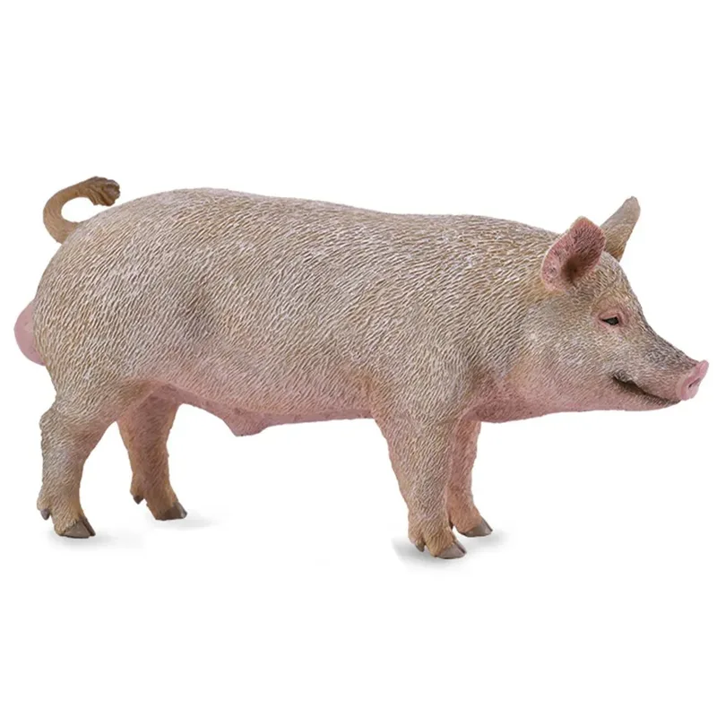 Mannelijk Varkensfiguur de Collecta – photo du produit