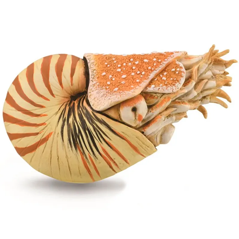 Nautilus Pompilius Xl-figuur by Collecta – product photo