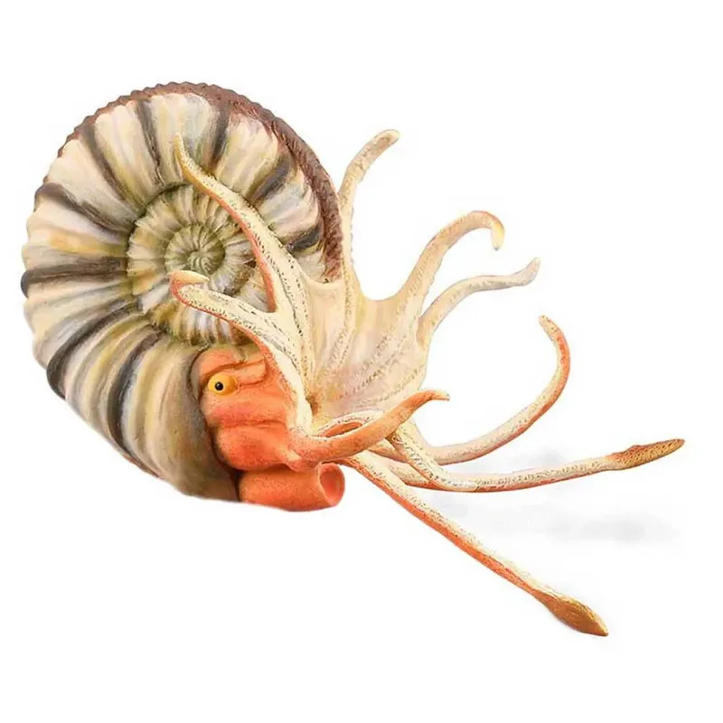 Pleuroceras-ammonietfiguur Xl von Collecta – Produktfoto