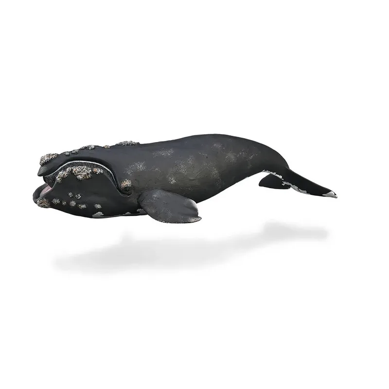 Rechter Walvisfiguur by Collecta – product photo