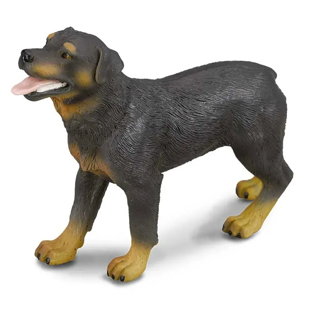 Rottweiler-figur von Collecta – Produktfoto