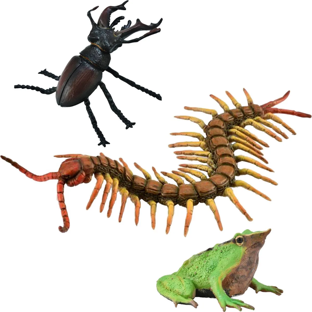 Set insectenbeeldjes, dierenbeeldjes 3+ by Collecta in Multicolour – product photo