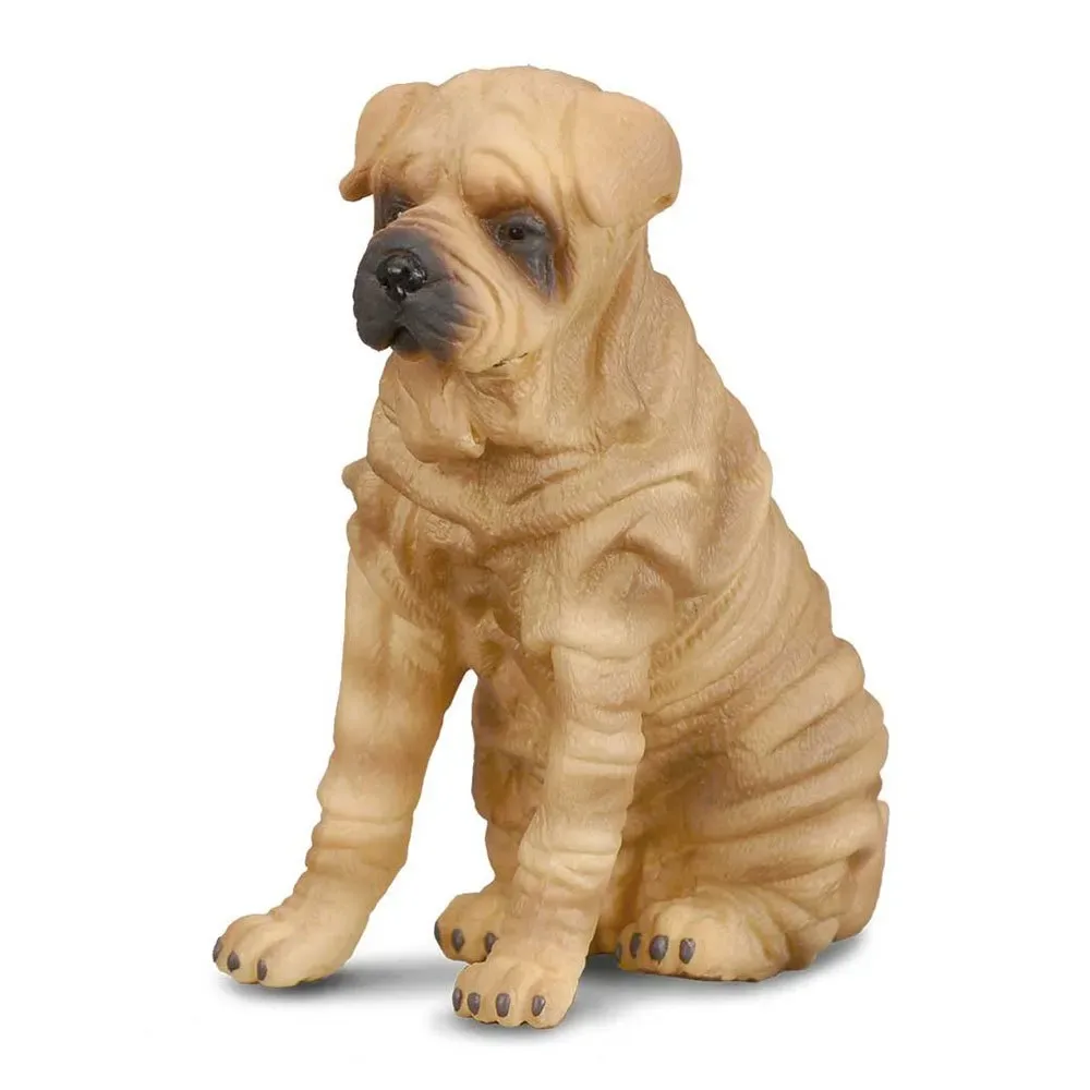 Shar Pei-figur von Collecta – Produktfoto