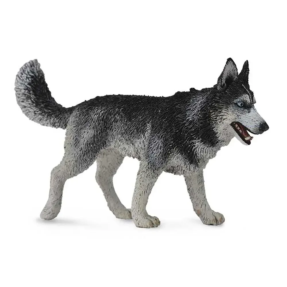 Sibirischer Husky Figur von Collecta – Produktfoto