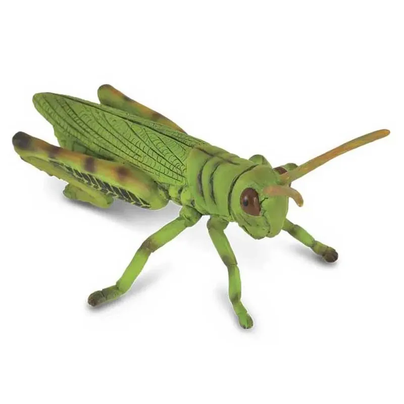 Sprinkhaanfiguur by Collecta – product photo